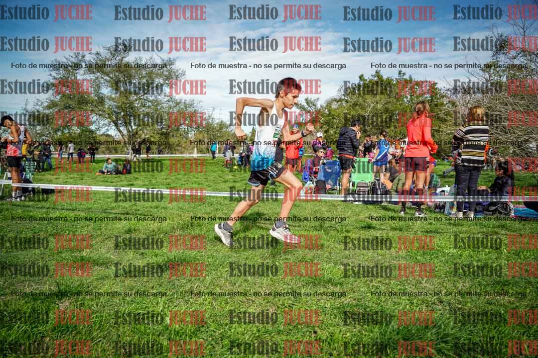 Fotos en el circuito