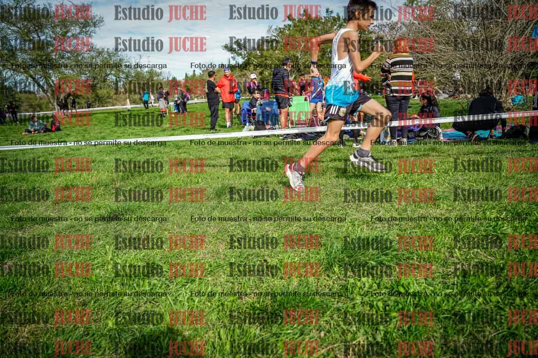 Fotos en el circuito