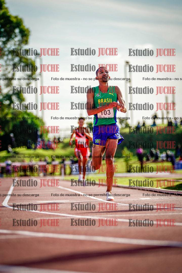 Fotos de los 3000 m con obstáculos de varones