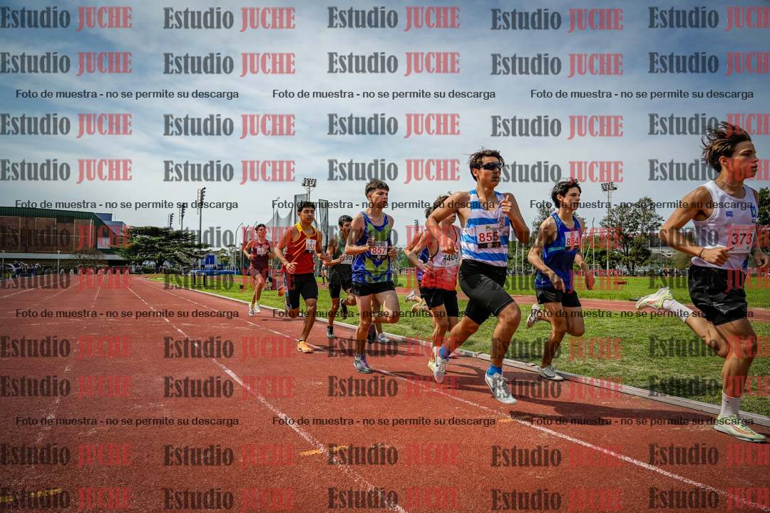 Fotos de los 600 m llanos de varones