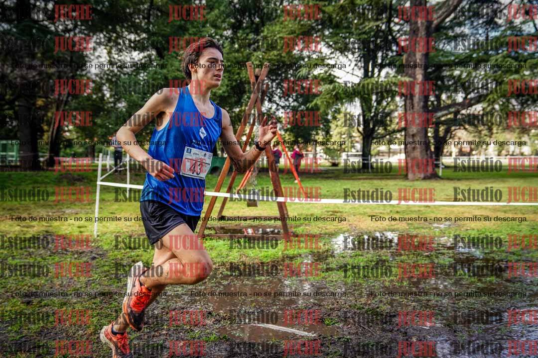 Fotos en el circuito