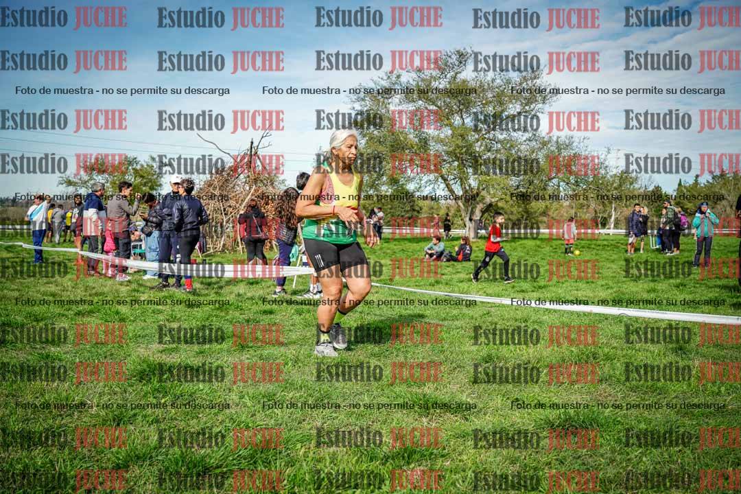 Fotos en el circuito
