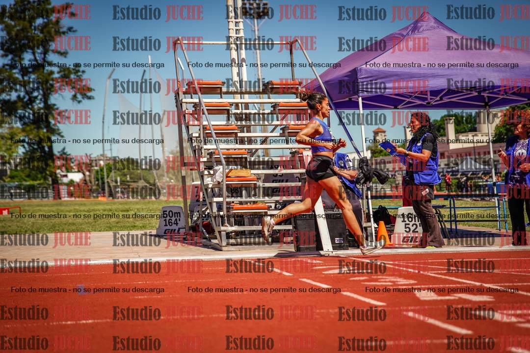 Fotos de los 800 m llanos de mujeres