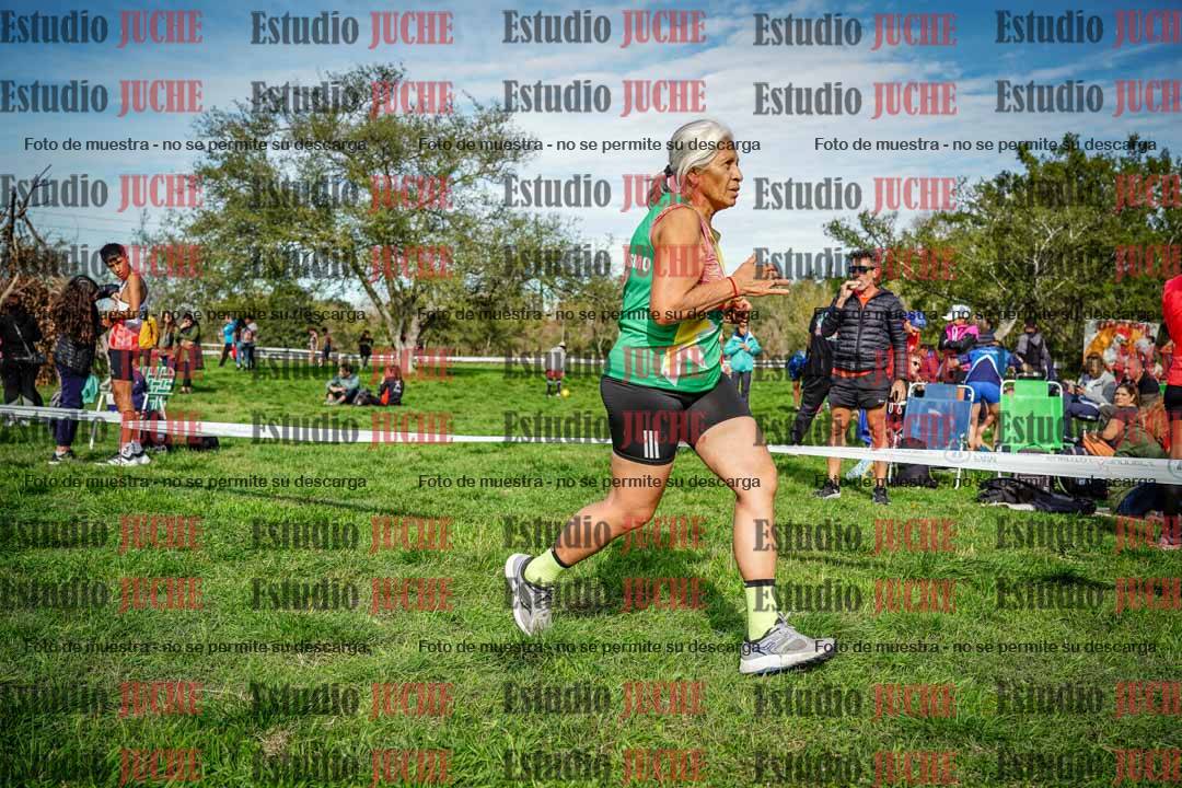 Fotos en el circuito