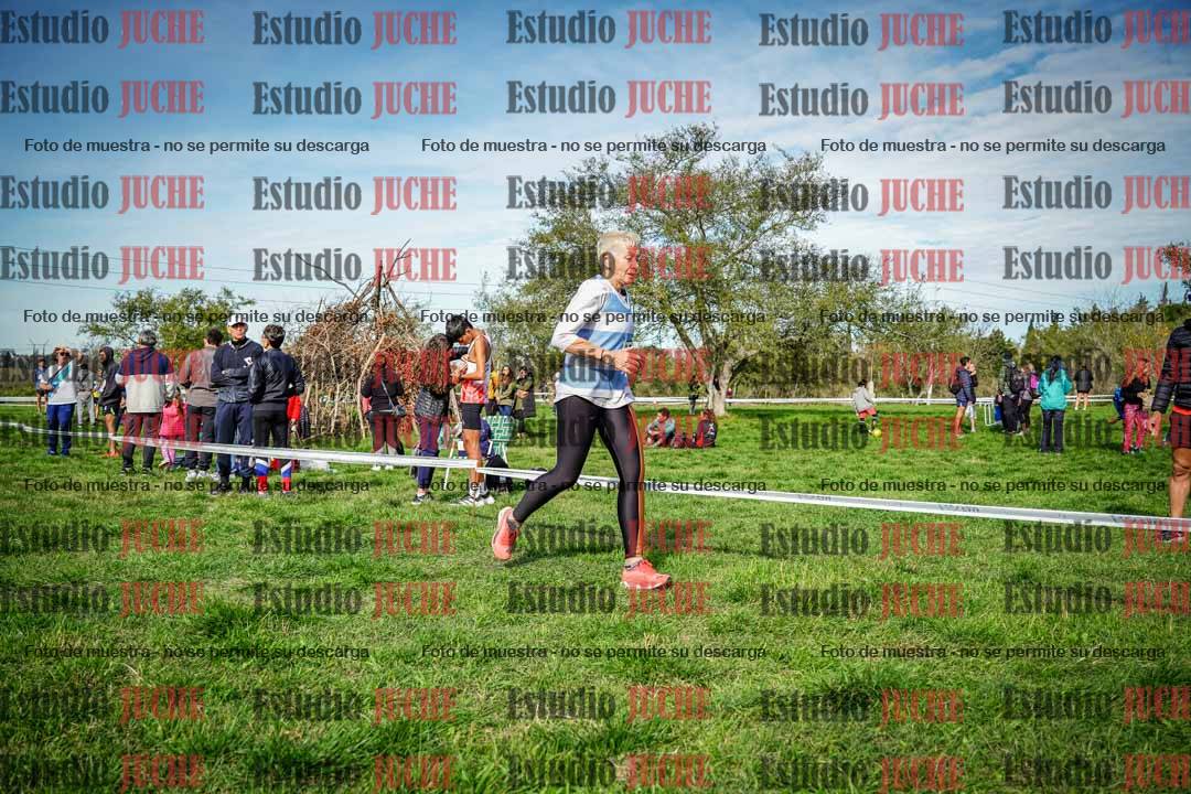 Fotos en el circuito