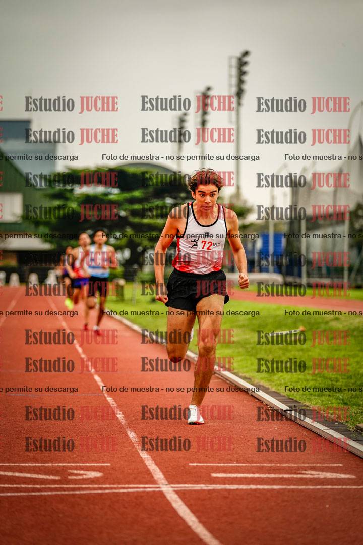 Fotos de los 800 m llanos de varones