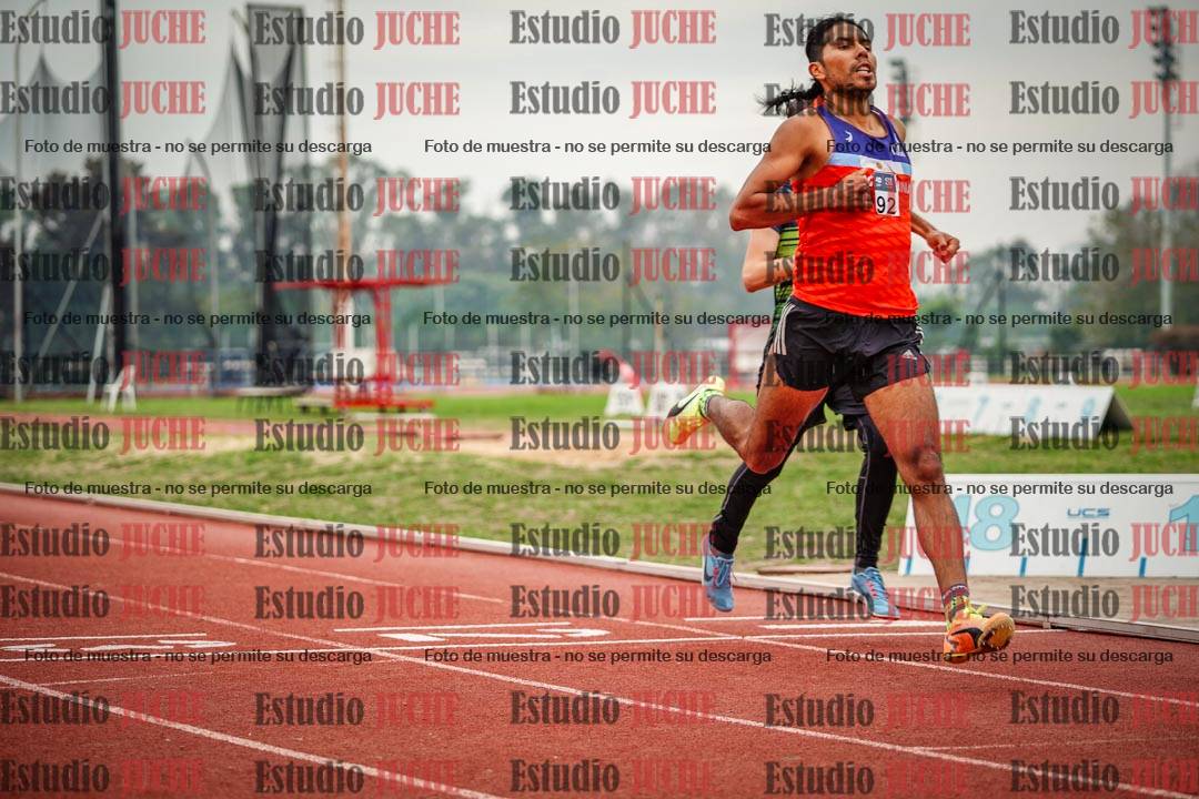 Fotos de los 800 m llanos de varones