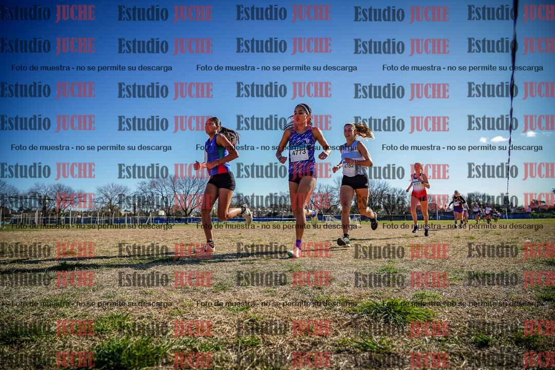 Fotos en el circuito