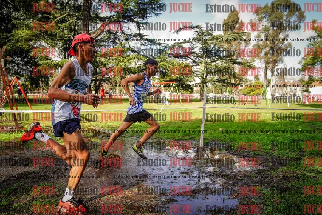 Fotos en el circuito