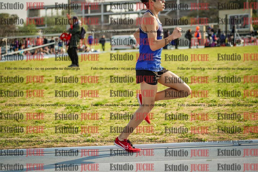 Fotos de los 3000 m llanos de varones