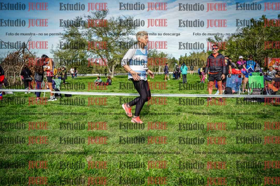Fotos en el circuito
