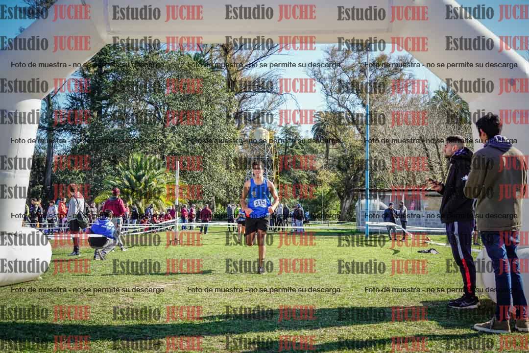 Fotos de la llegada del cross de 6000 m