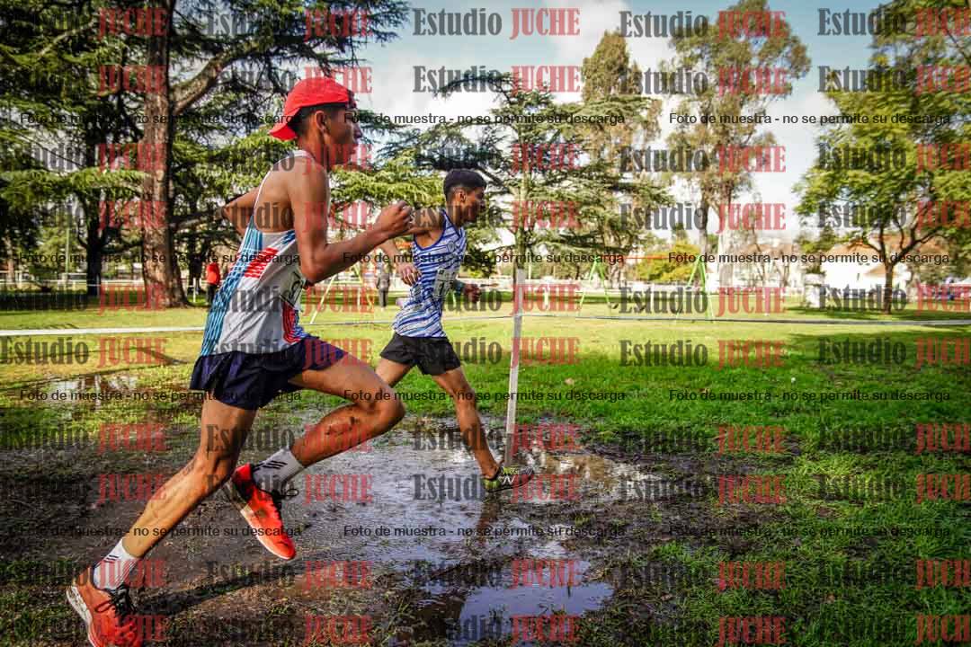 Fotos en el circuito