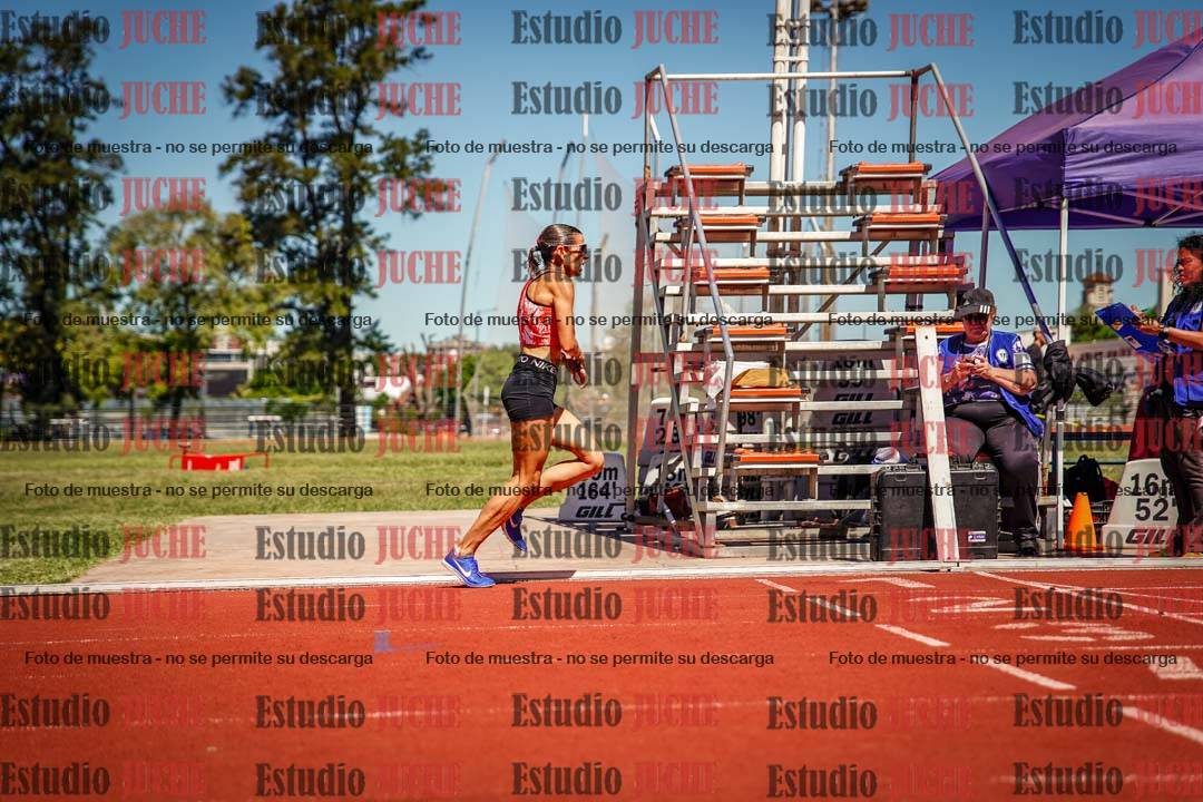 Fotos de los 800 m llanos de mujeres