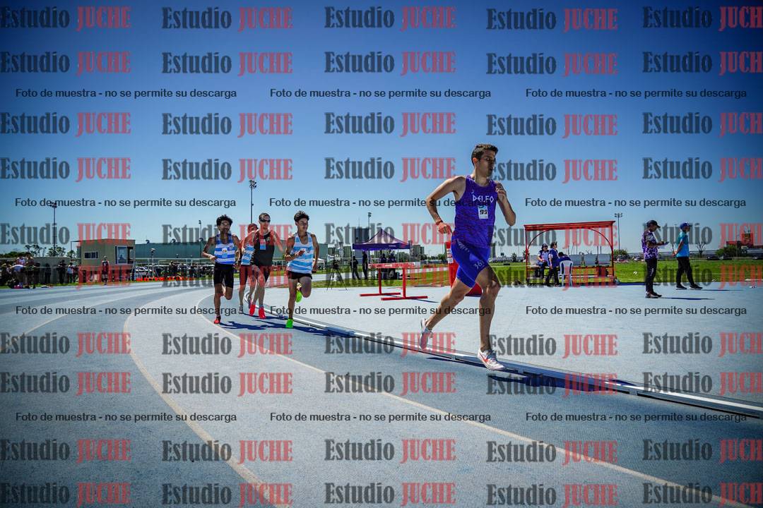 Fotos de los 800 m llanos de varones
