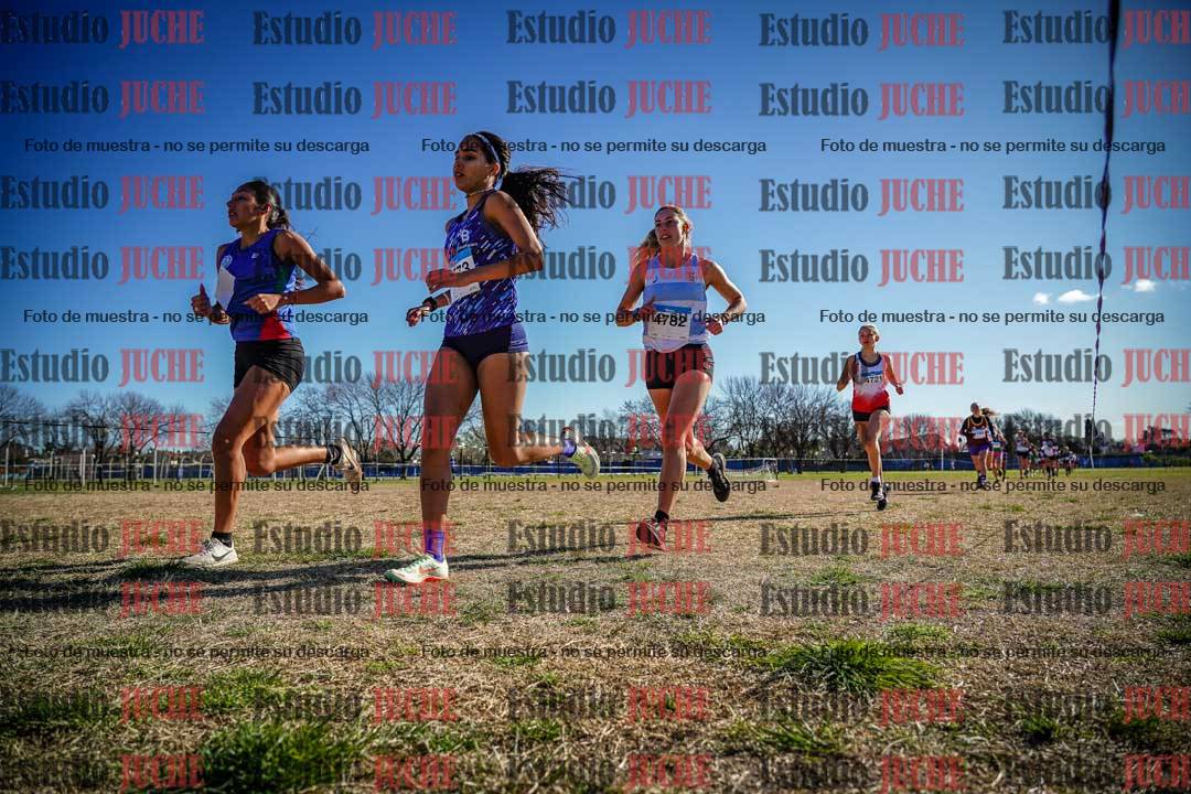 Fotos en el circuito