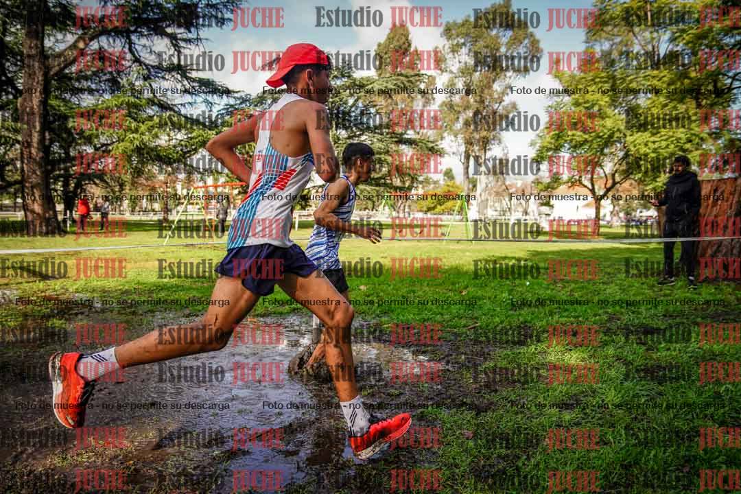 Fotos en el circuito