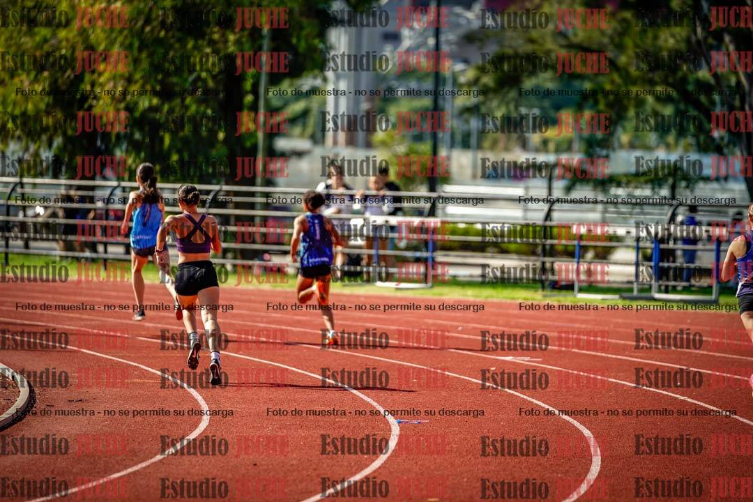 Fotos de los 800 m llanos de mujeres