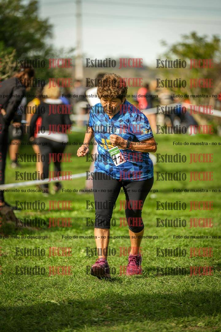 Fotos en el circuito