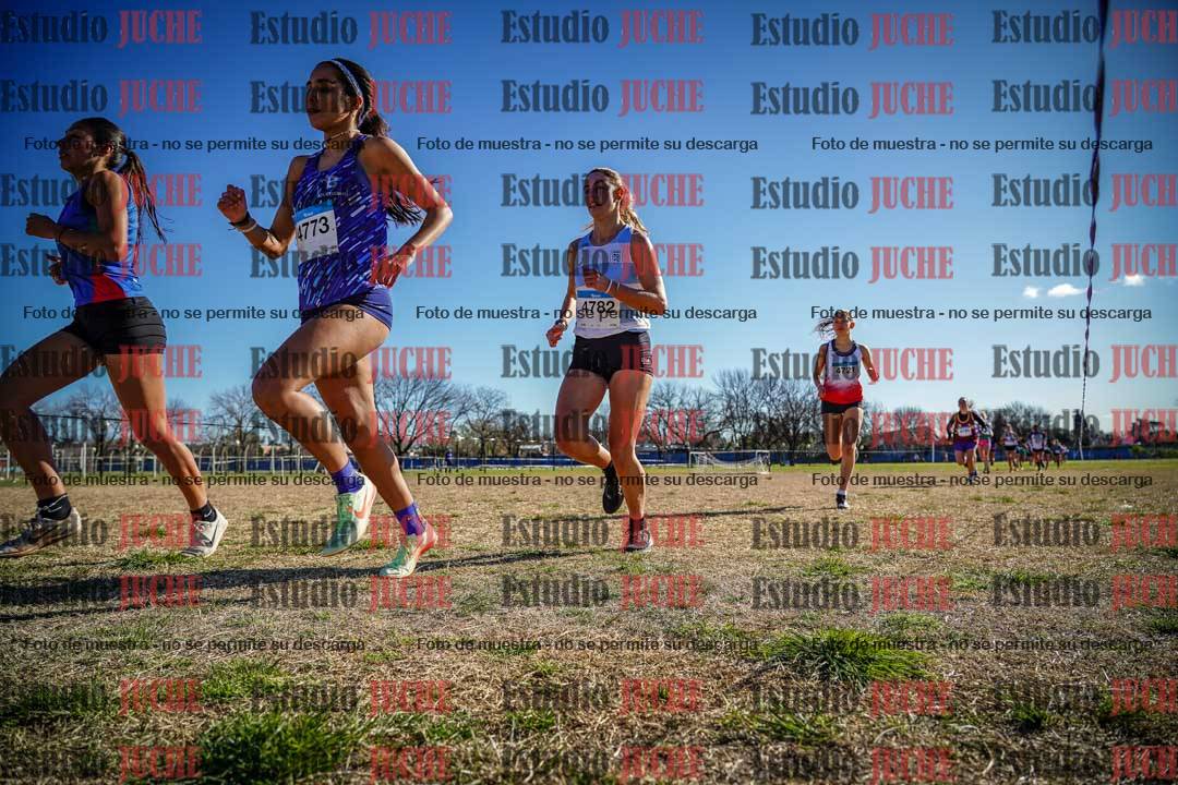 Fotos en el circuito