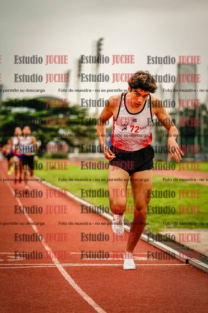 Fotos de los 800 m llanos de varones