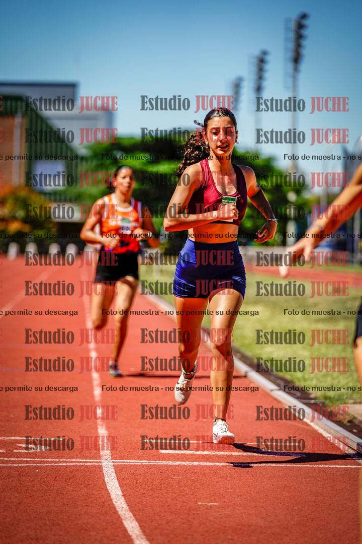 Fotos de los 800 m llanos de mujeres
