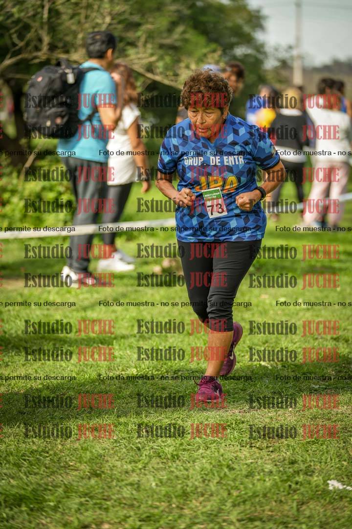 Fotos en el circuito