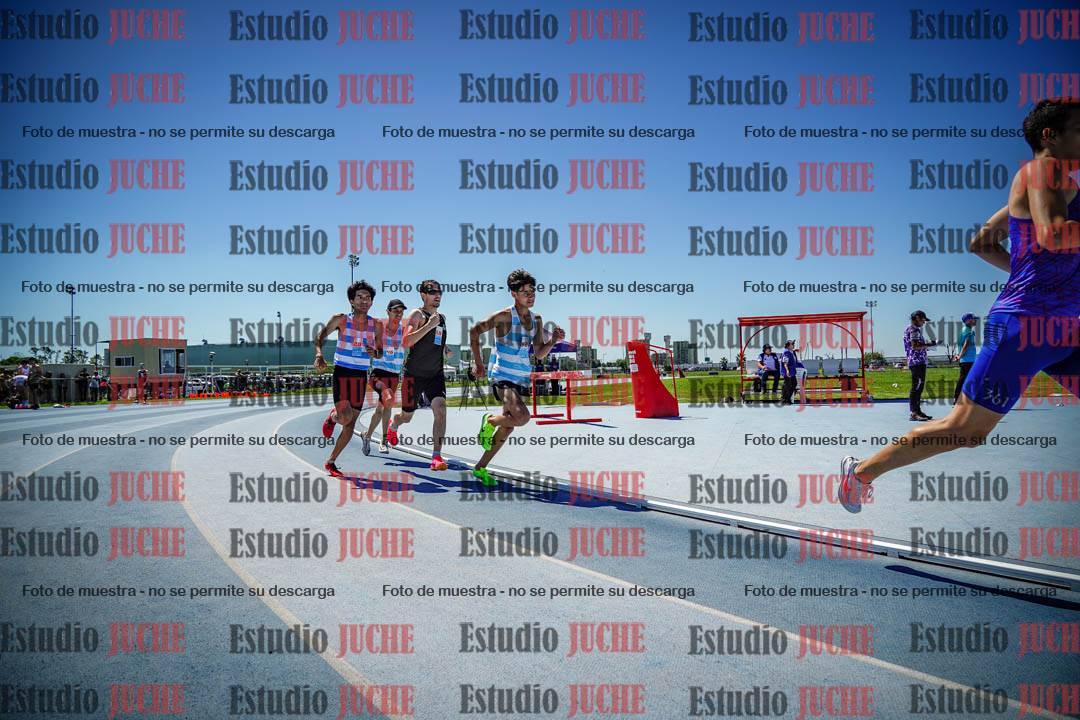 Fotos de los 800 m llanos de varones