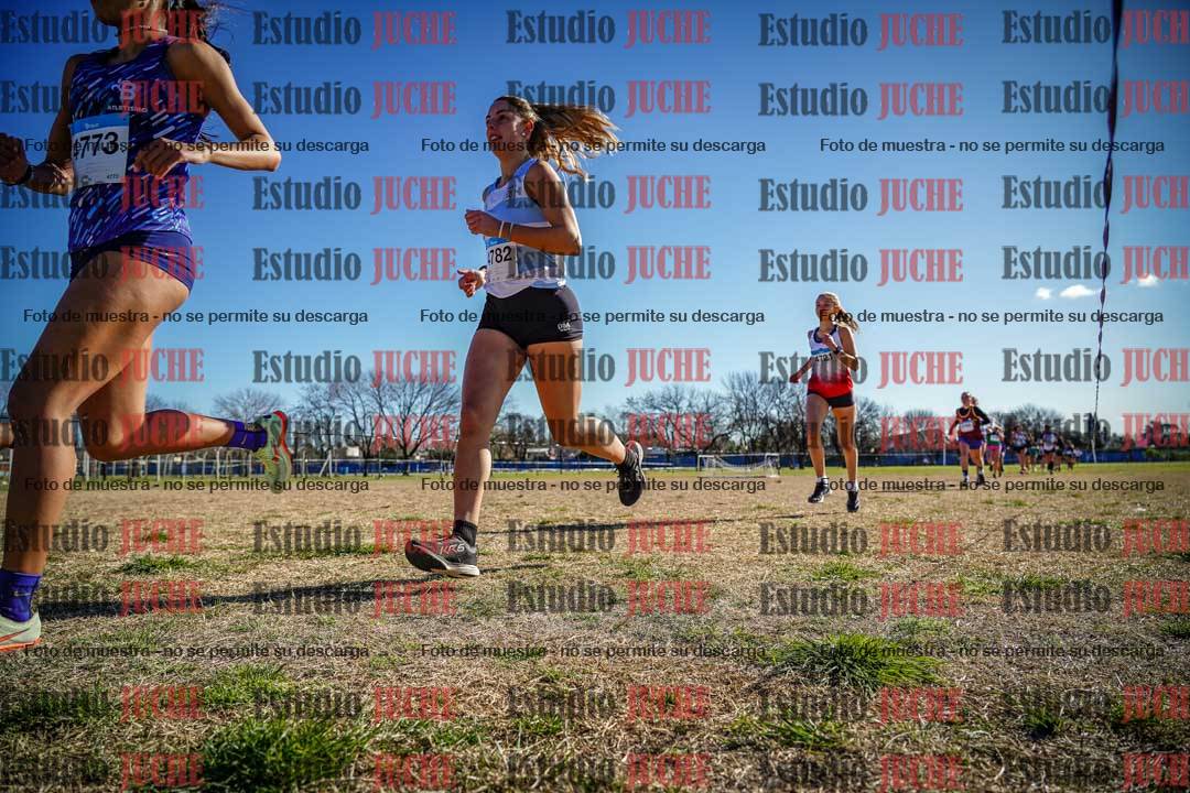 Fotos en el circuito