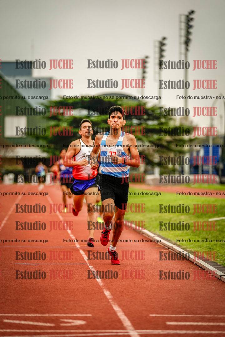 Fotos de los 800 m llanos de varones