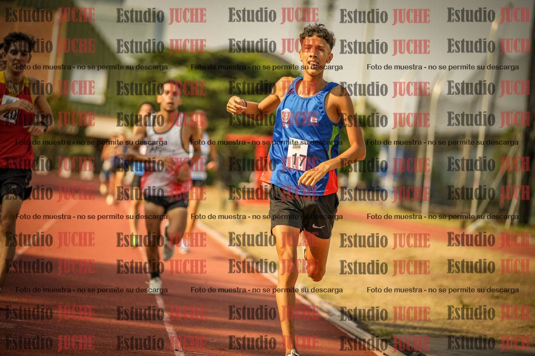 Fotos de los 1500 m llanos de varones