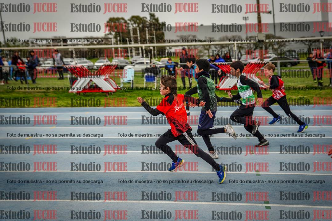 Fotos de los 50 m llanos de varones - U12