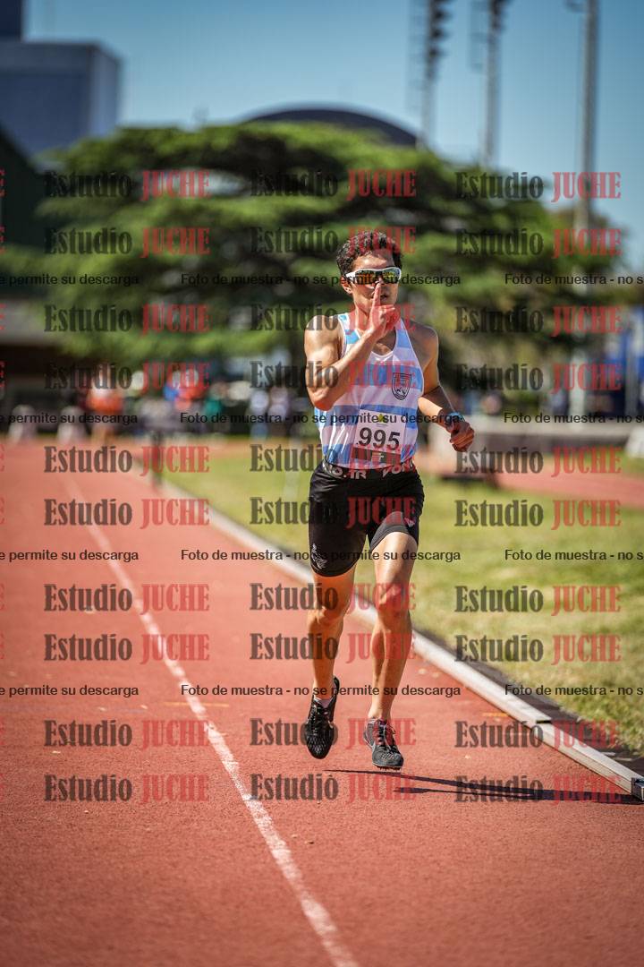 Fotos de los 3000 m con obstáculos de varones