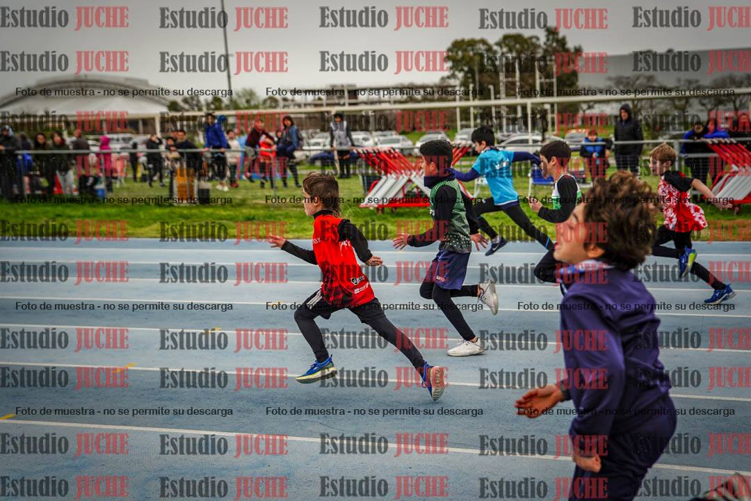 Fotos de los 50 m llanos de varones - U12