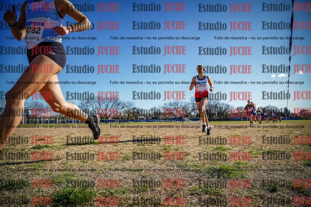 Fotos en el circuito