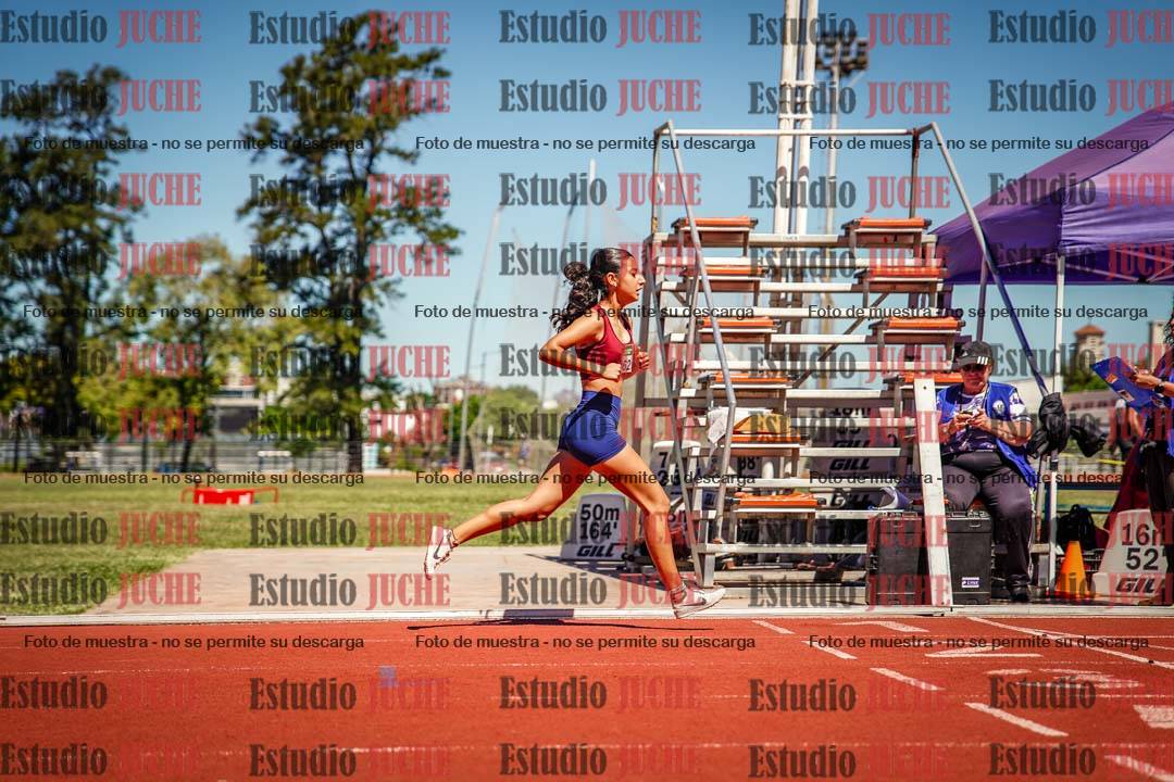 Fotos de los 800 m llanos de mujeres