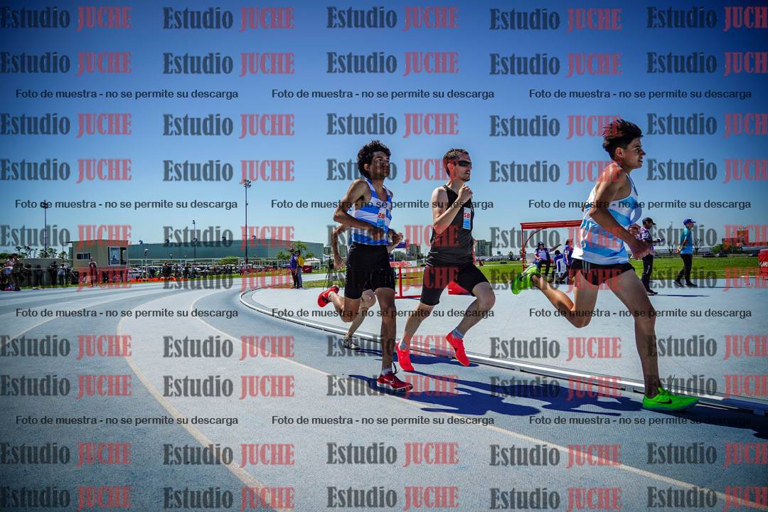 Fotos de los 800 m llanos de varones
