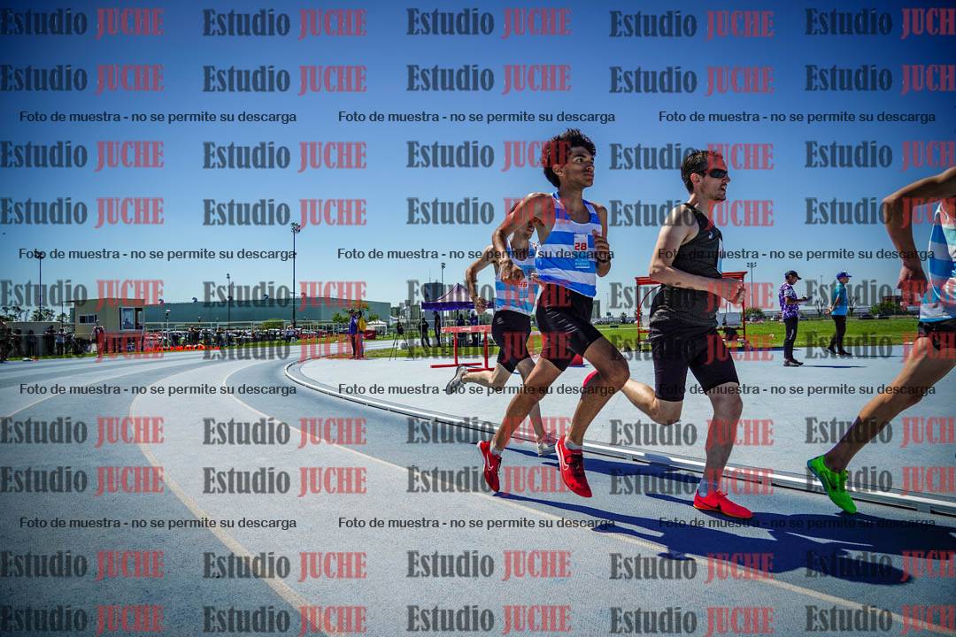 Fotos de los 800 m llanos de varones