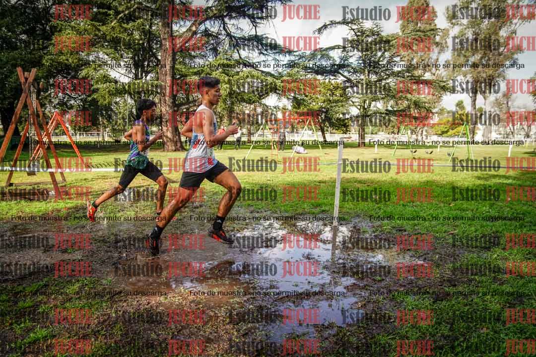 Fotos en el circuito