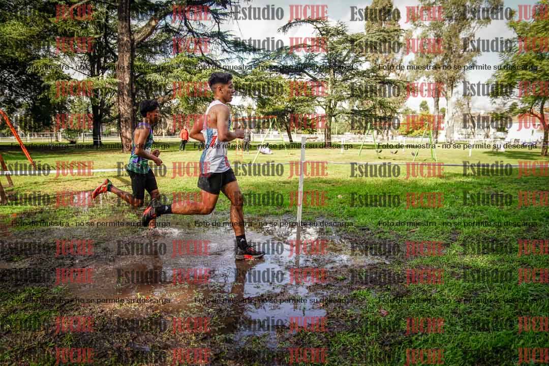 Fotos en el circuito
