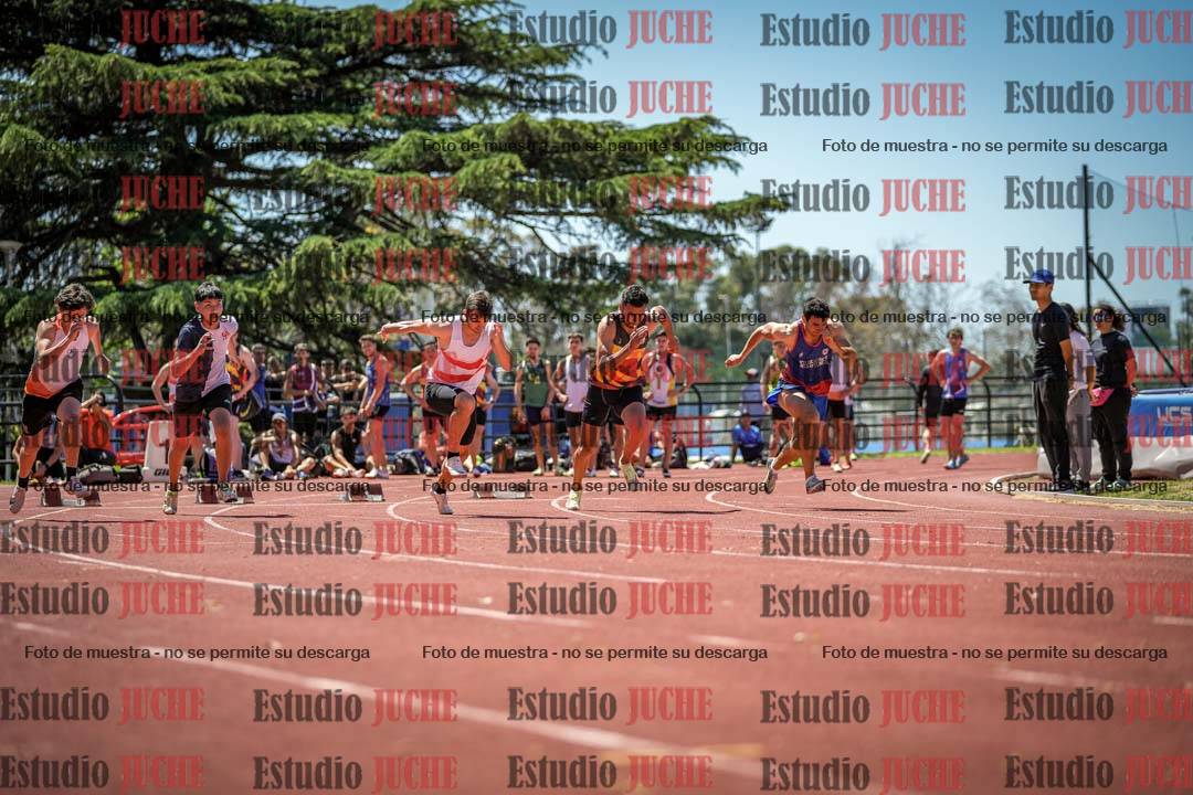 Fotos de los 100 m llanos de varones