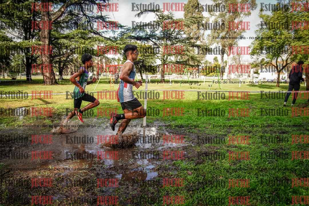 Fotos en el circuito