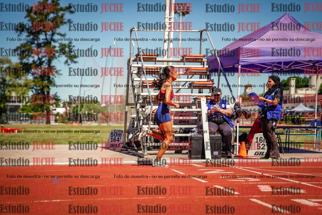 Fotos de los 800 m llanos de mujeres