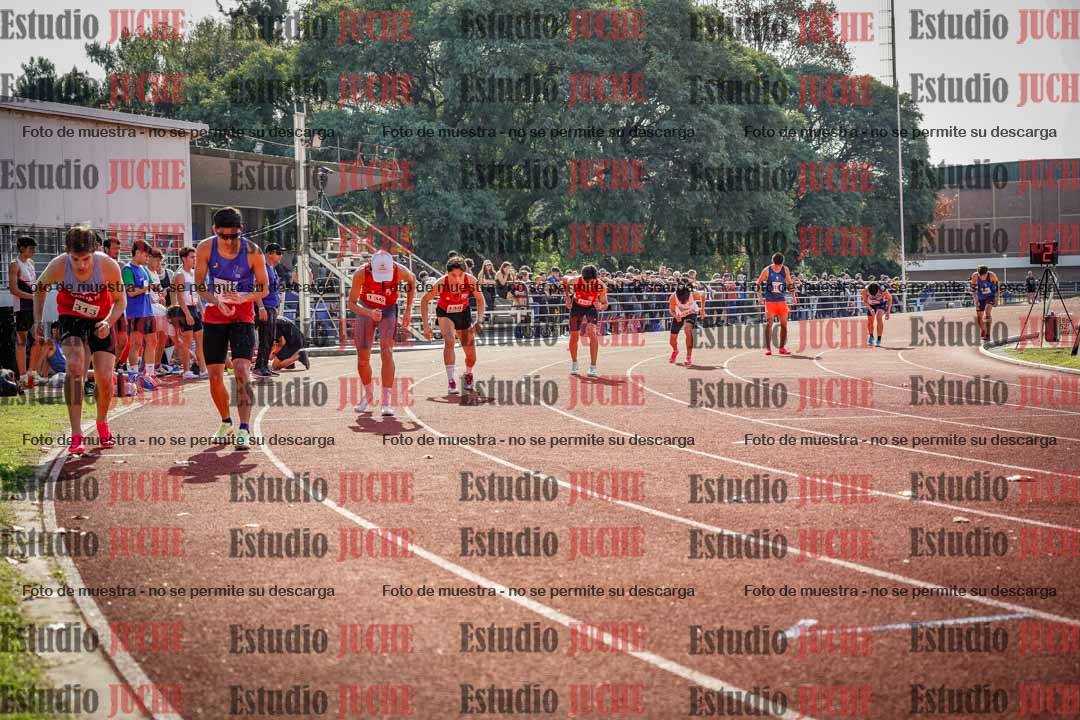 Fotos de los 800 m llanos de varones