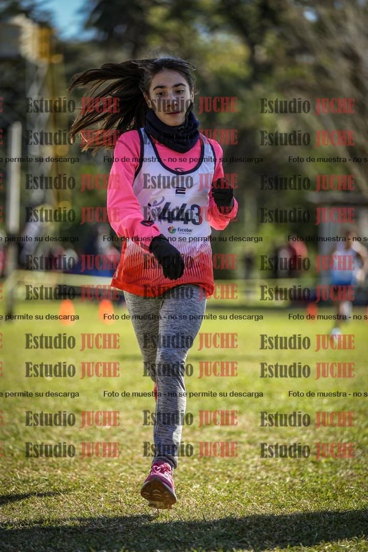 Fotos de la llegada del cross de 2000 m