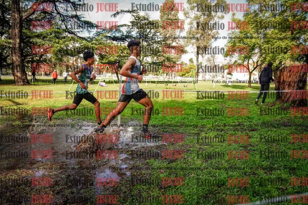 Fotos en el circuito