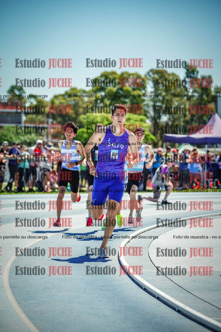 Fotos de los 800 m llanos de varones
