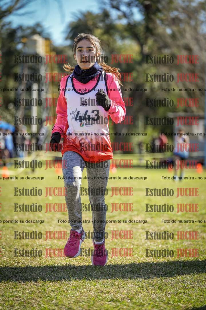 Fotos de la llegada del cross de 2000 m
