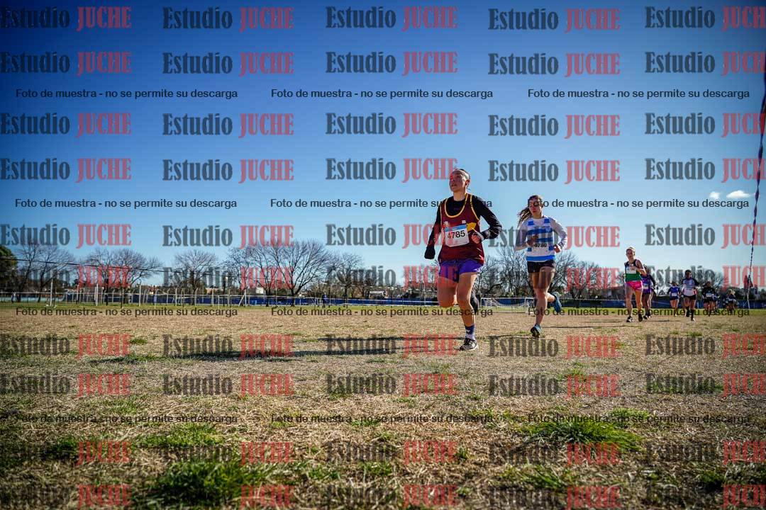 Fotos en el circuito