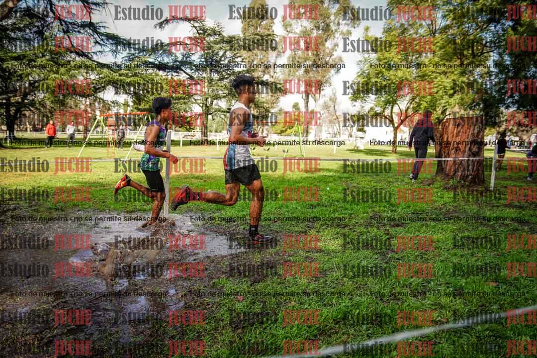Fotos en el circuito